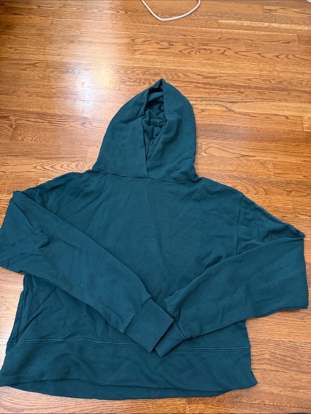 perfectwhitetee Teal Hooded Sweatshirt